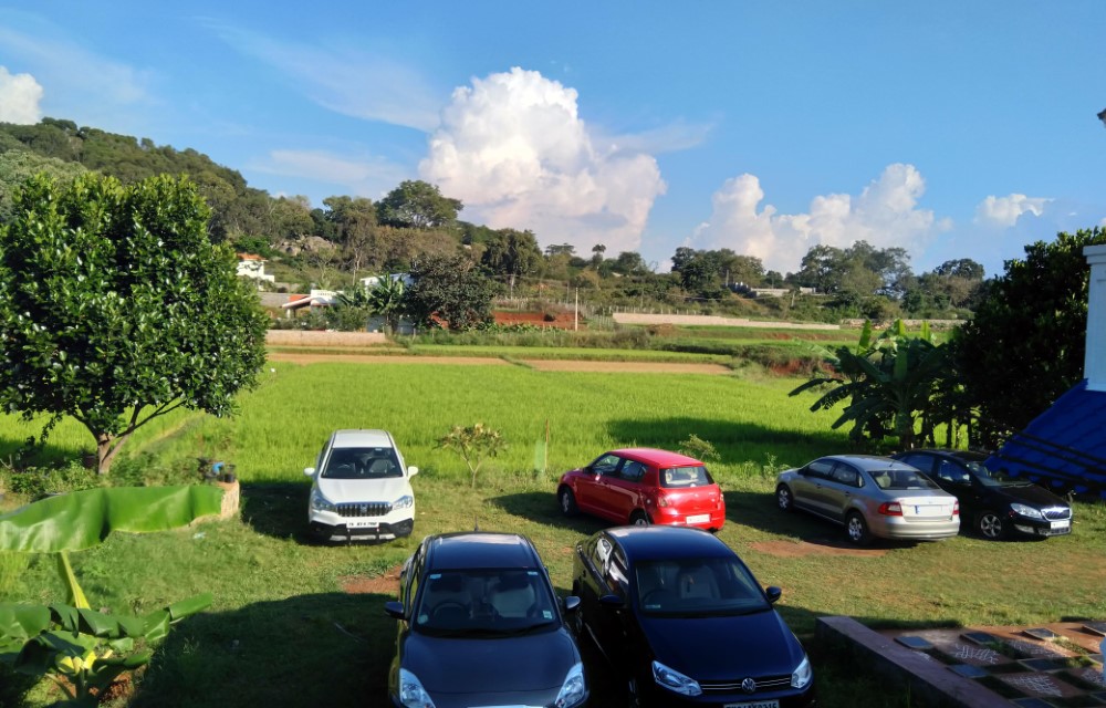 Blog Pictures