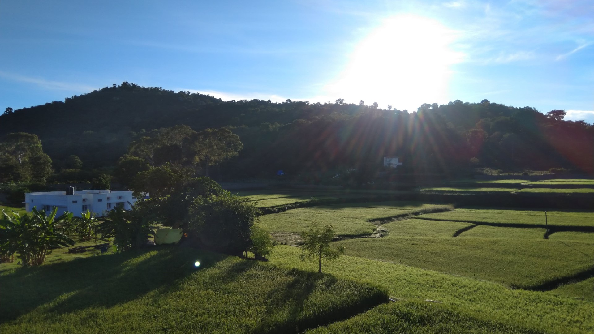 Yelagiri Farm House