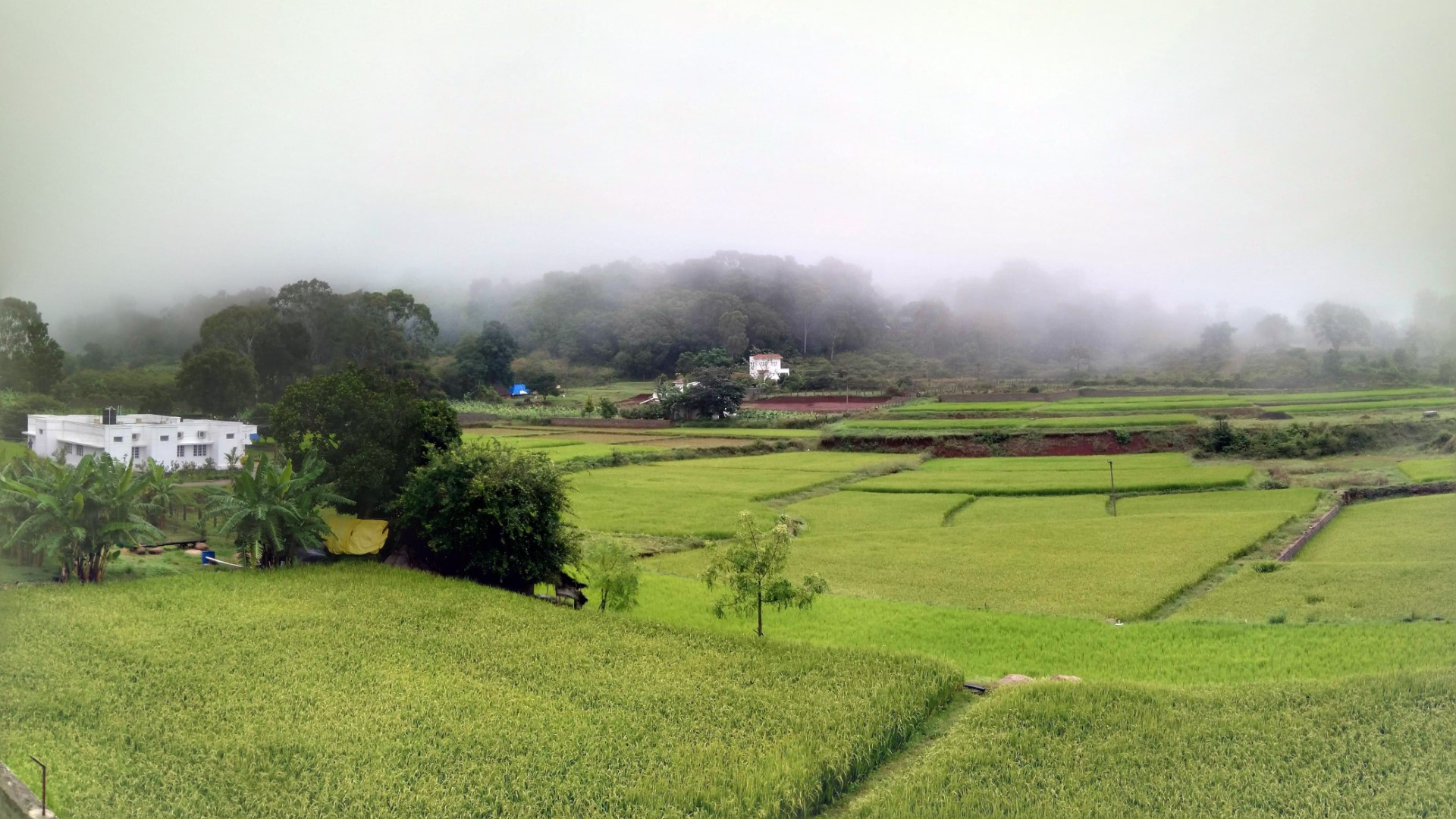 Yelagiri Farm House
